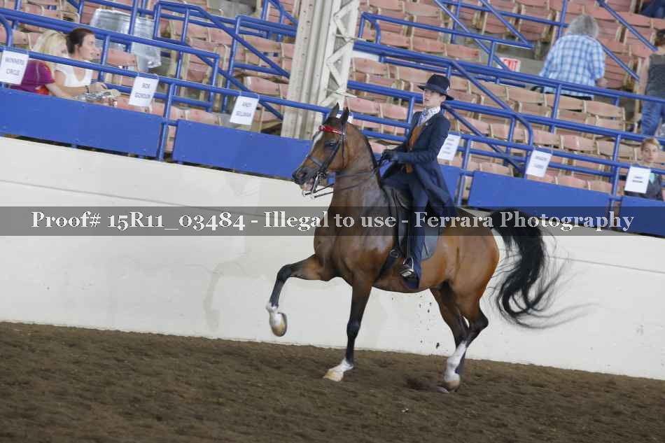 Proof Number 15R11_03484