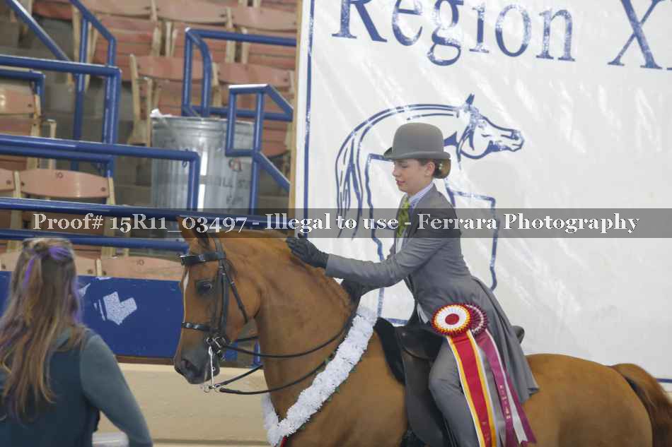 Proof Number 15R11_03497