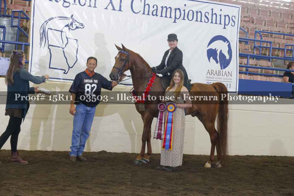 Proof Number 15R11_03503