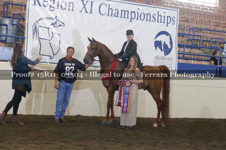 Proof Number 15R11_03504