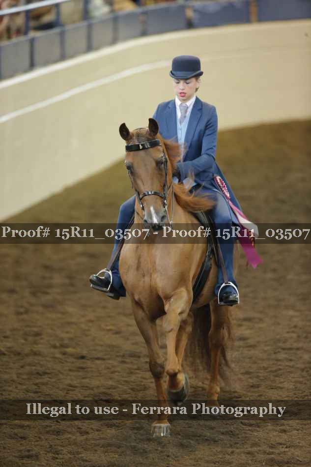 Proof Number 15R11_03507
