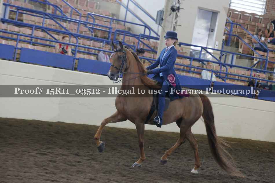 Proof Number 15R11_03512