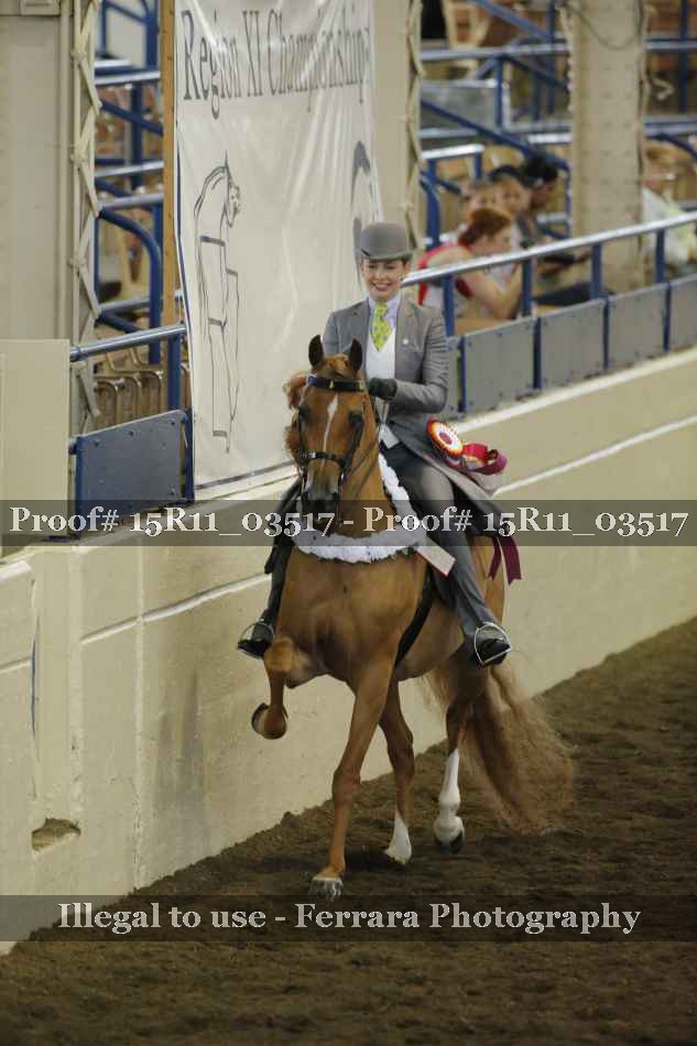 Proof Number 15R11_03517