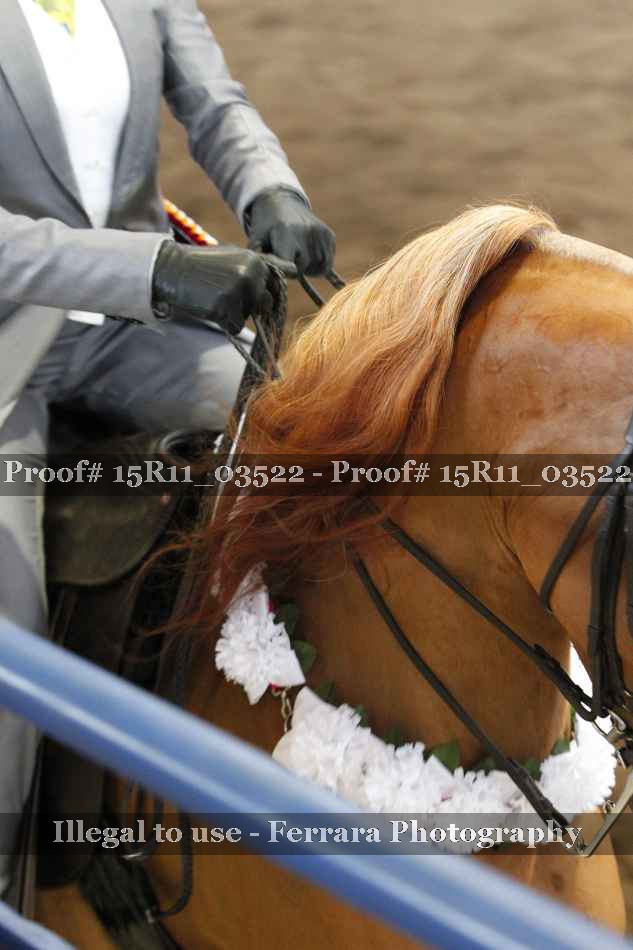 Proof Number 15R11_03522
