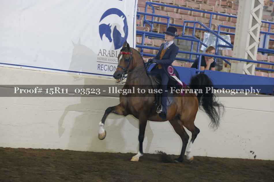 Proof Number 15R11_03523