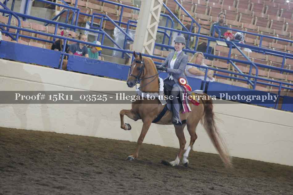 Proof Number 15R11_03525