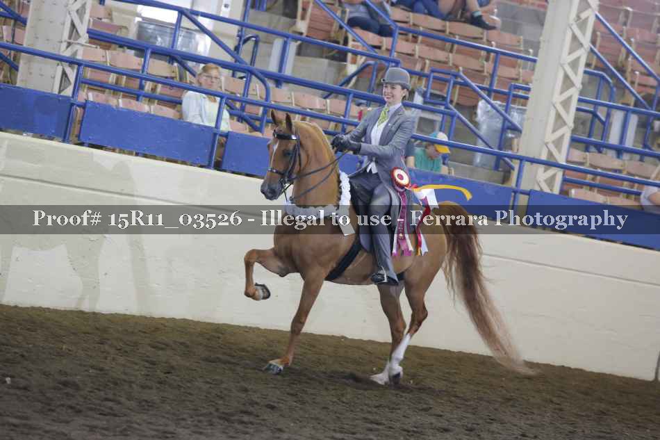 Proof Number 15R11_03526
