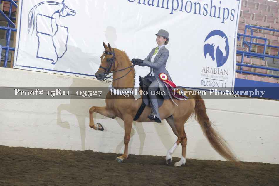 Proof Number 15R11_03527