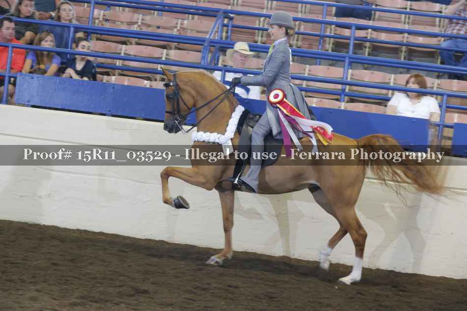 Proof Number 15R11_03529