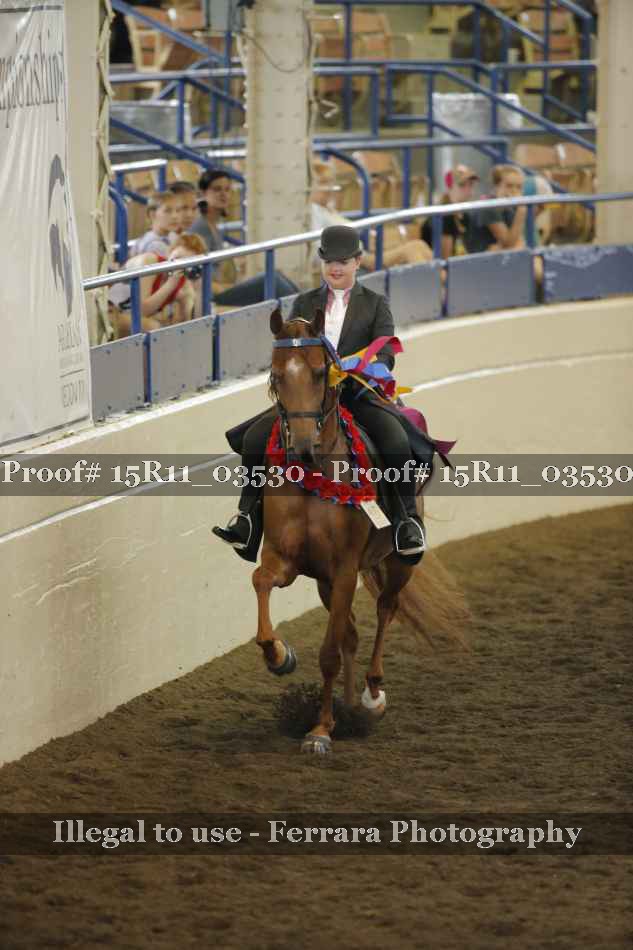 Proof Number 15R11_03530