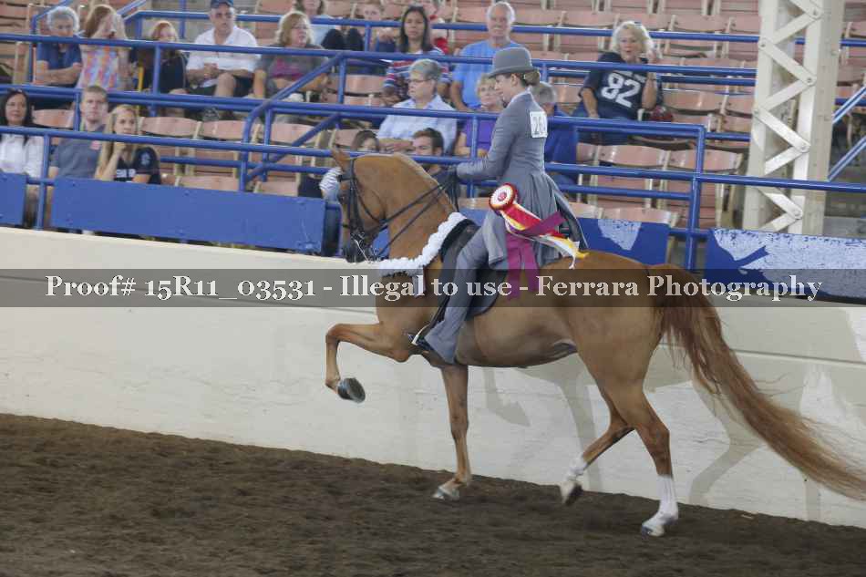 Proof Number 15R11_03531