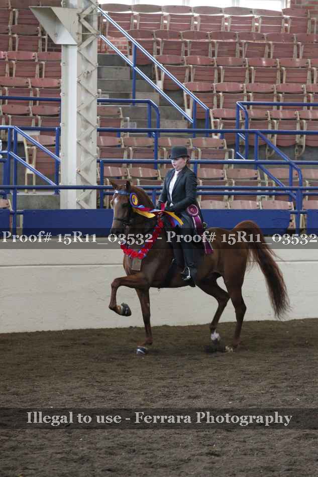 Proof Number 15R11_03532