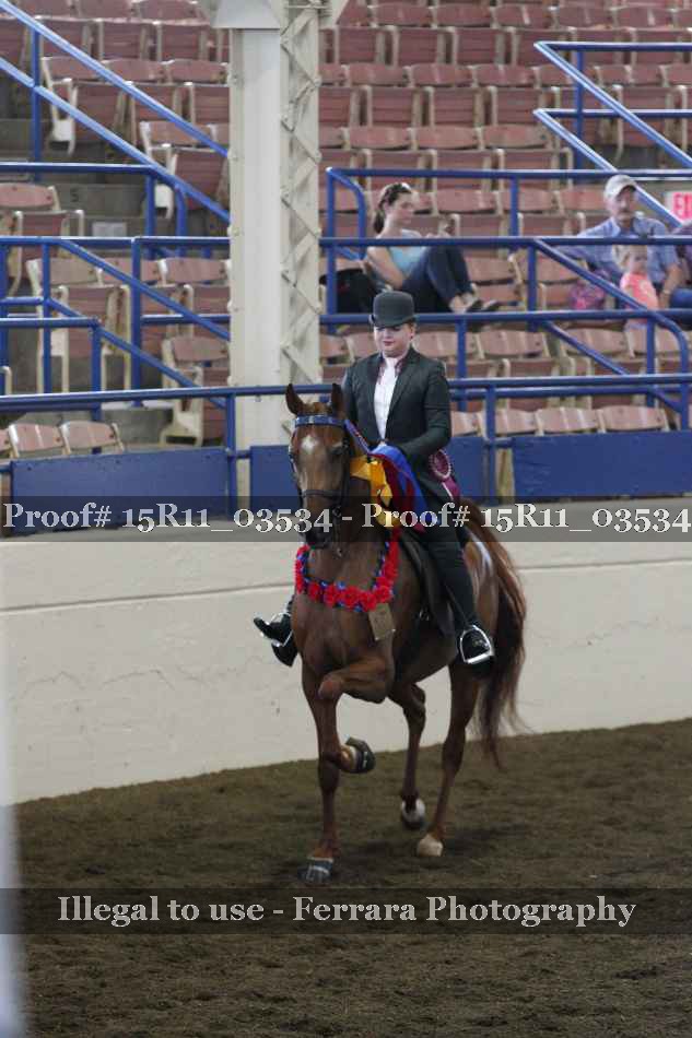 Proof Number 15R11_03534