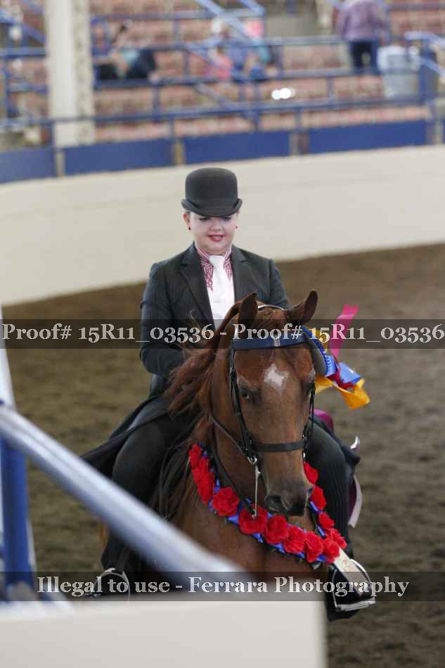 Proof Number 15R11_03536