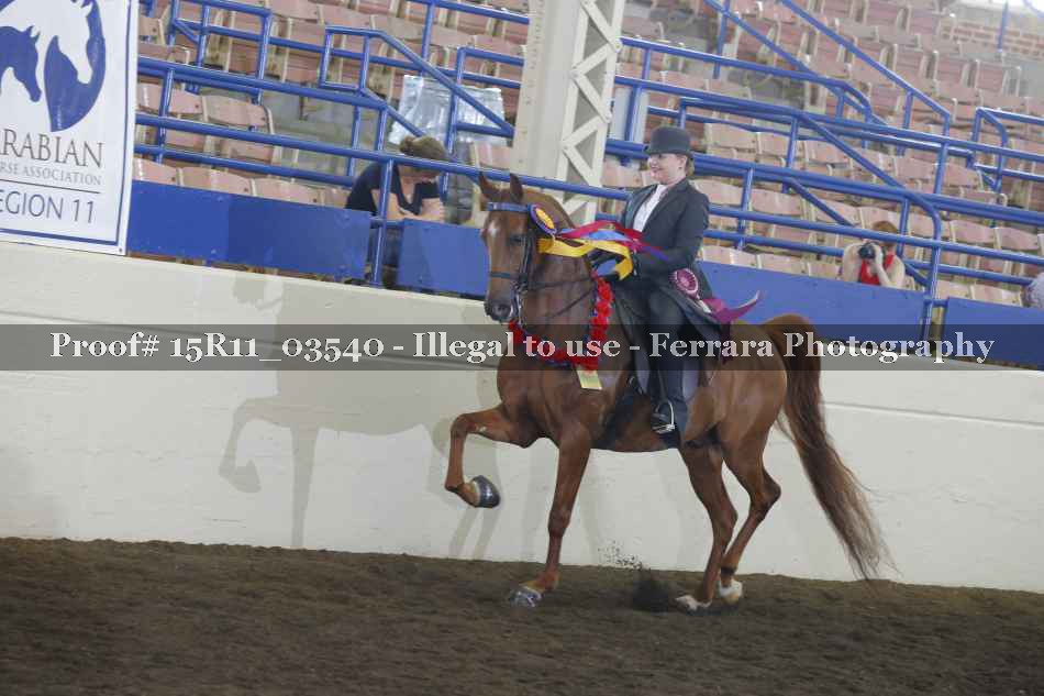 Proof Number 15R11_03540