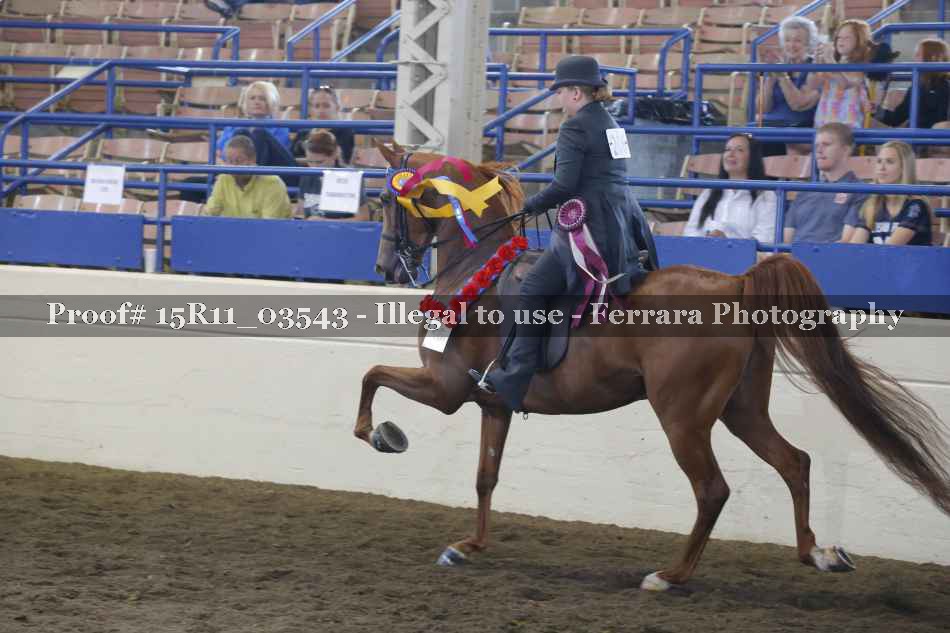 Proof Number 15R11_03543