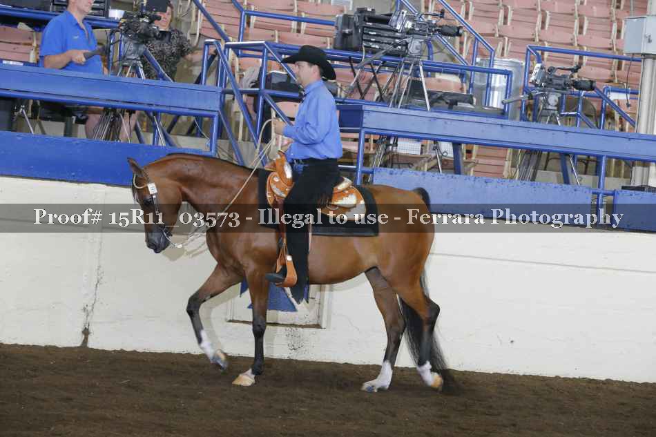 Proof Number 15R11_03573