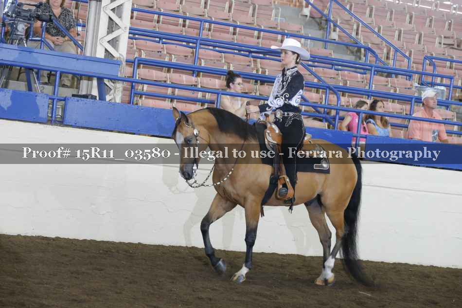 Proof Number 15R11_03580