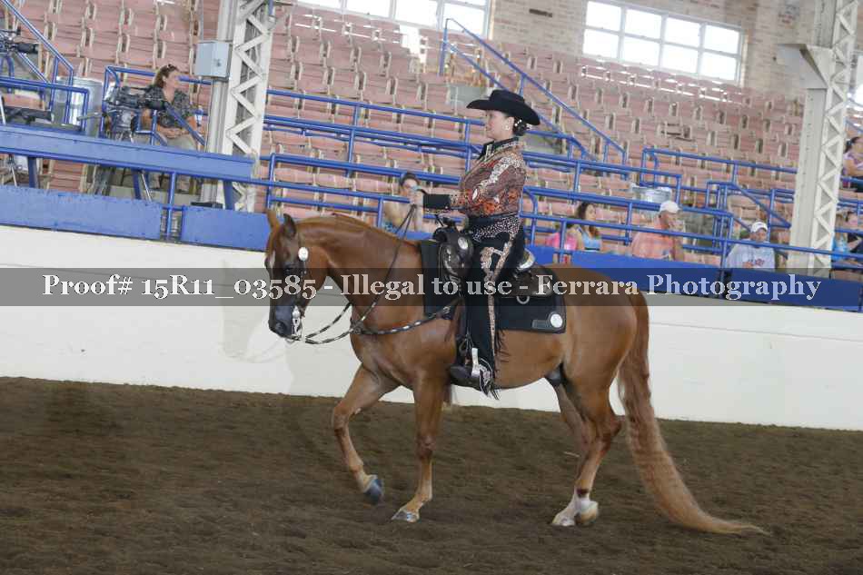 Proof Number 15R11_03585