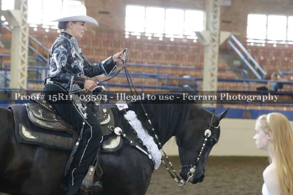 Proof Number 15R11_03594