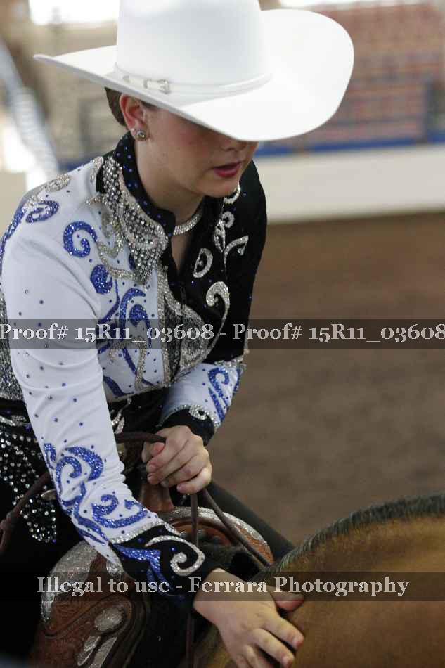 Proof Number 15R11_03608