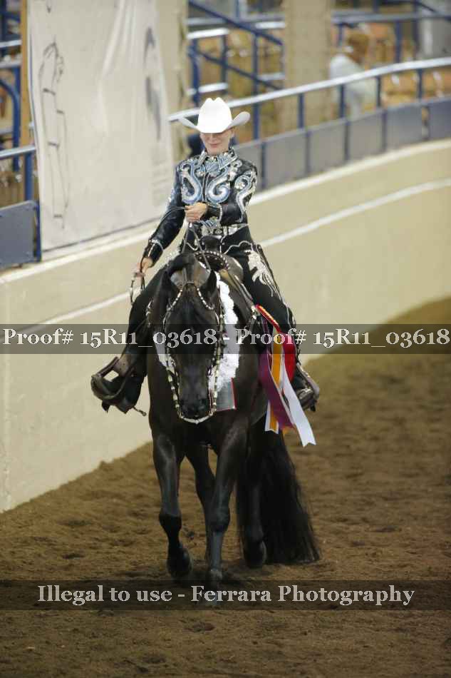 Proof Number 15R11_03618