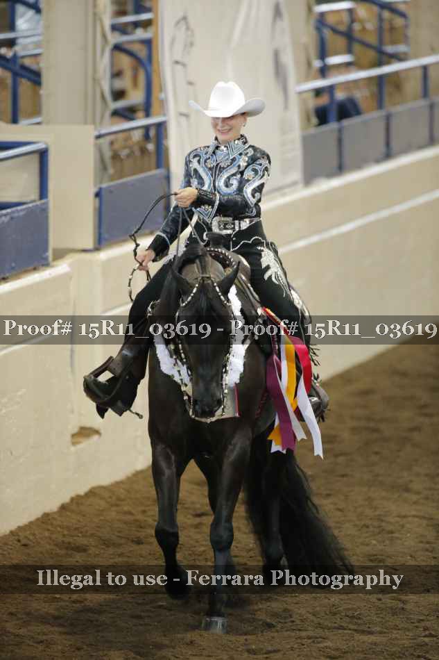 Proof Number 15R11_03619