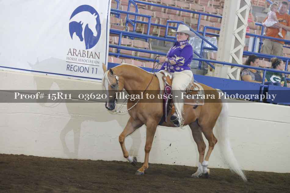 Proof Number 15R11_03620