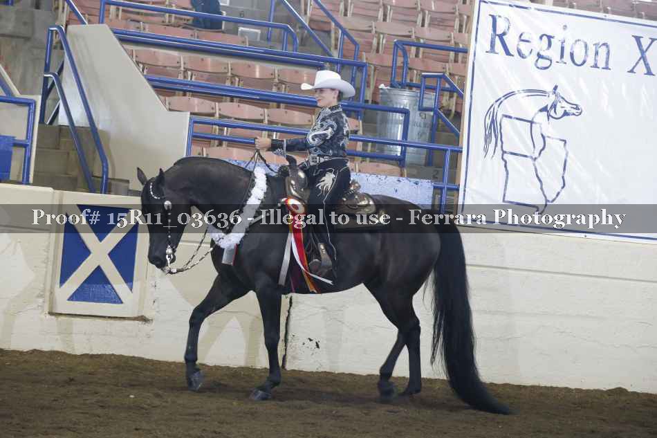 Proof Number 15R11_03636