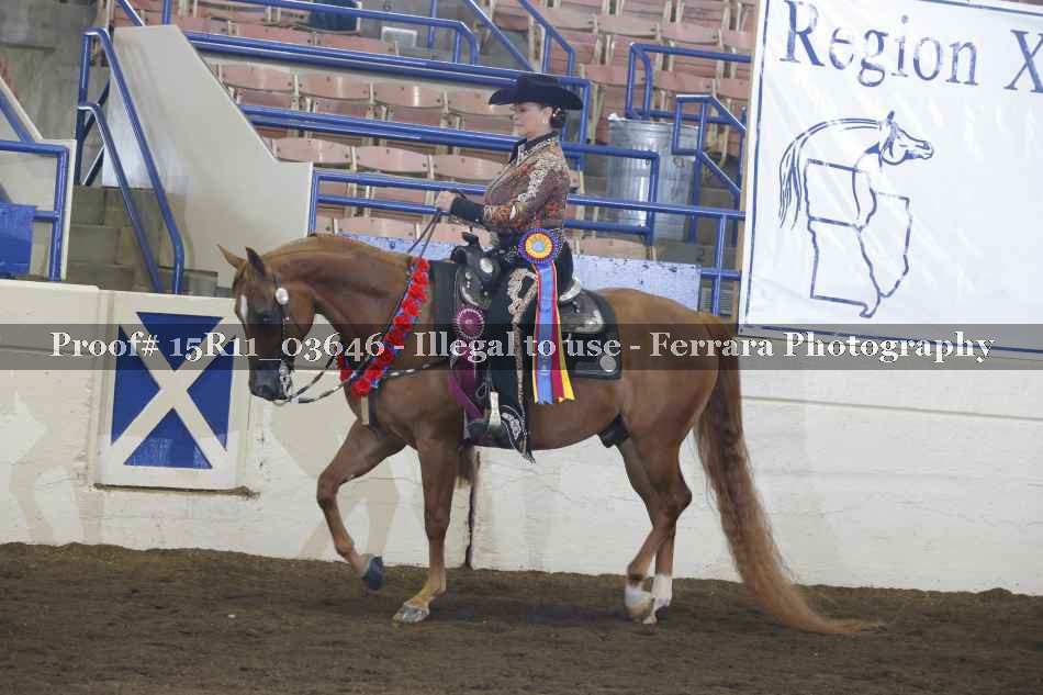 Proof Number 15R11_03646