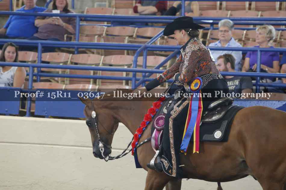 Proof Number 15R11_03647