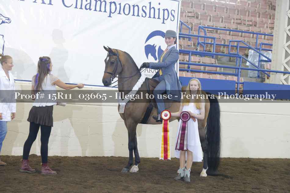 Proof Number 15R11_03665