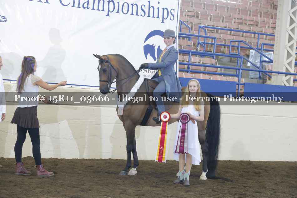 Proof Number 15R11_03666