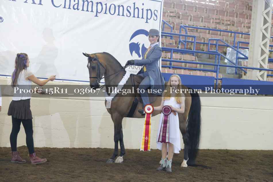 Proof Number 15R11_03667