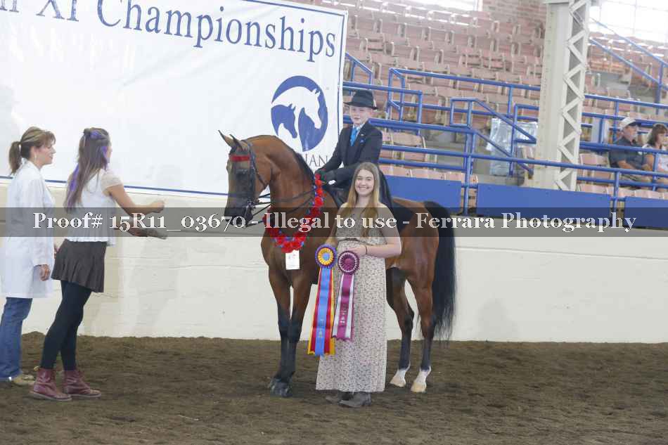 Proof Number 15R11_03670