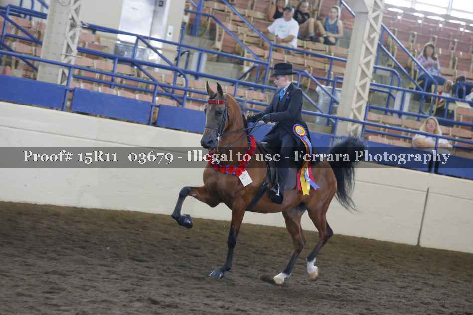 Proof Number 15R11_03679