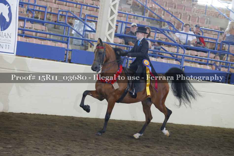 Proof Number 15R11_03680