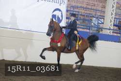 15R11_03681 thumbnail