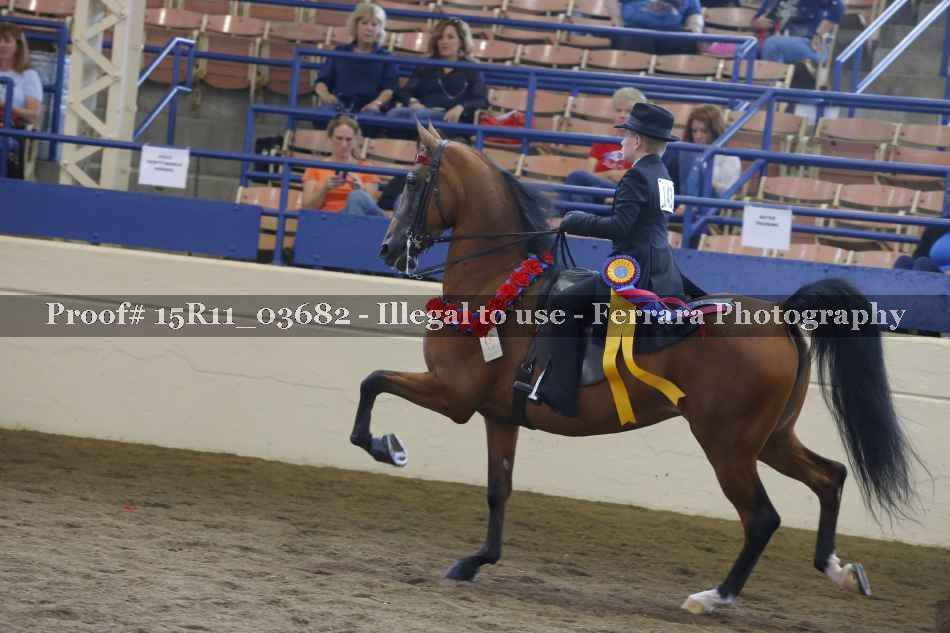 Proof Number 15R11_03682