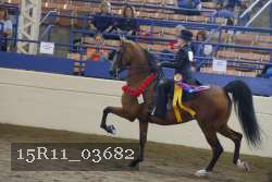 15R11_03682 thumbnail