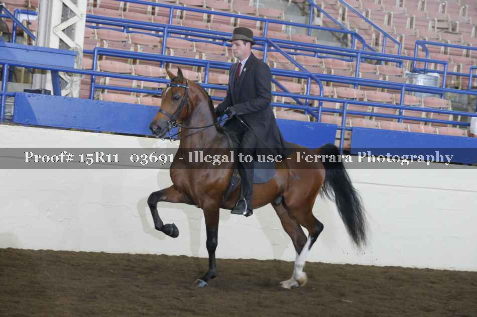 Proof Number 15R11_03691
