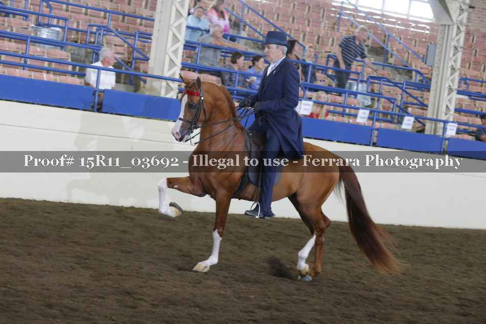 Proof Number 15R11_03692