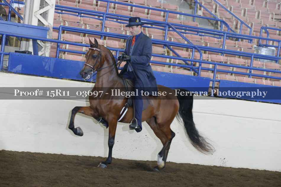 Proof Number 15R11_03697