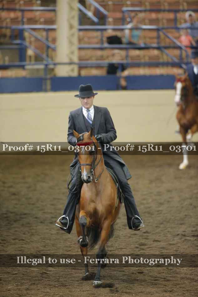 Proof Number 15R11_03701