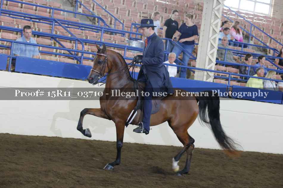 Proof Number 15R11_03710