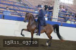 15R11_03710 thumbnail