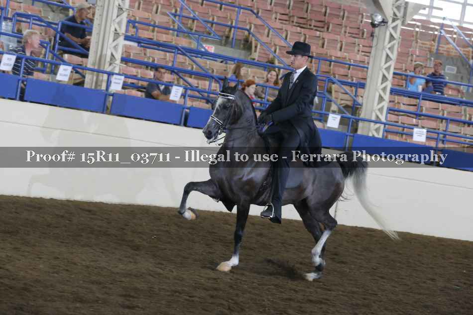Proof Number 15R11_03711