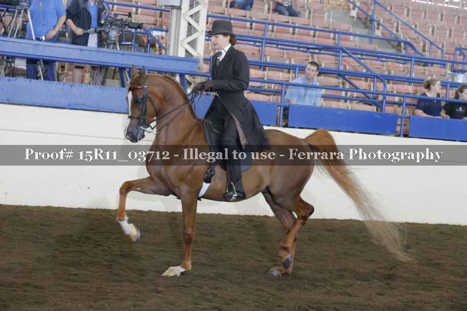 Proof Number 15R11_03712
