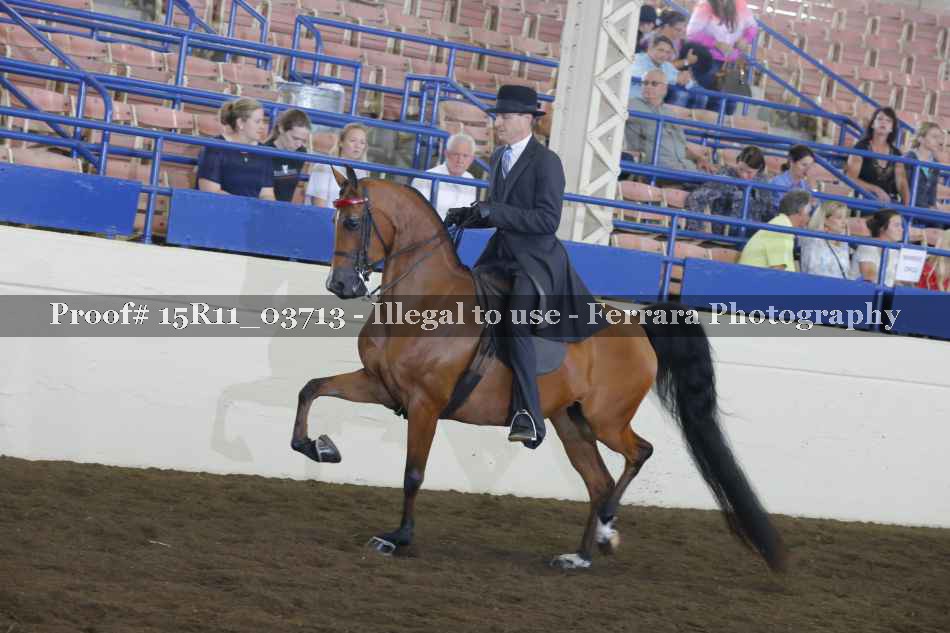 Proof Number 15R11_03713