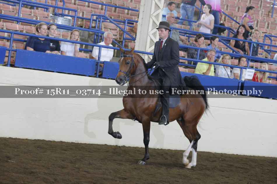 Proof Number 15R11_03714